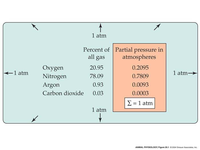 4, Fig. 0.6 7 1% Oxygen in Air Hill et al.