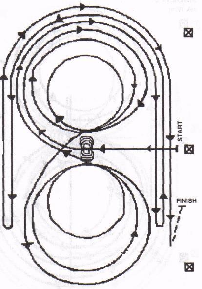 REINING PATTERN NUMBER 8 (AQHA 1996) Walk mule to center of the arena facing the left wall or fence. 1. Complete 4 spins to the left. 2. Complete 4 spins to the right. Hesitate. 3.