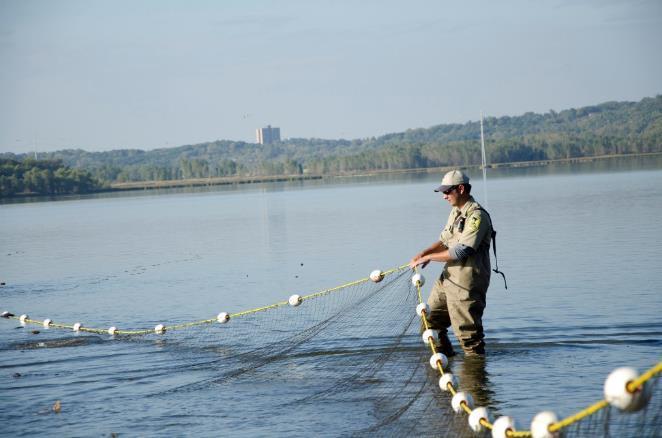 18 UMR Commercial Fishing Credit: MN DNR Reduce population above Lock and Dam 19 Impact reproduction Slow
