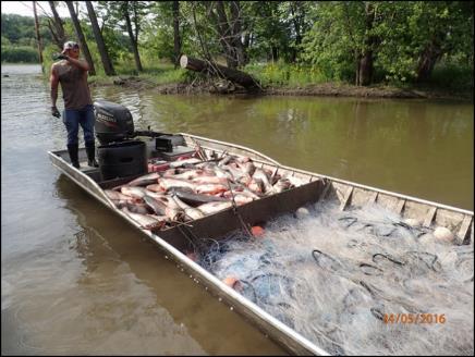 19 UMR Commercial Fishing Commercial fishing - Started Fall 2015 Start up a time and learning curve Mississippi River