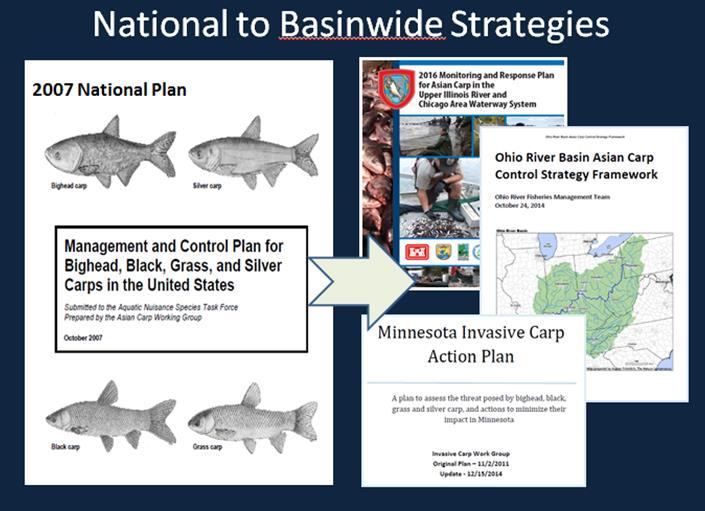 Asian Carp Collaborative 4 Management The National Plan has been the foundation of geographically