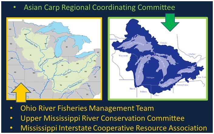 Framework Upper Mississippi River Basin Asian Carp Control Strategy Framework ACRCC Great Lakes