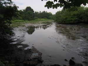 Mudflat upstream of Allaire Rd.