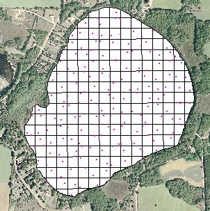 4 hectare grid with one random point per