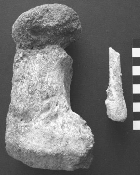 Appendix B Faunal Remains from the Sites of Spytihnev- ˇ Duchonce, Jarošov-Kopaniny and Napajedla- Brickyard Miriam Nývltová Fišáková, IA AS CR Brno 1.