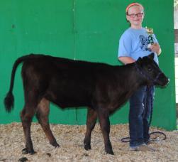 Bucket Calf Show Friday, July 7, 2017 Superintendents: Nancy Johnson, Fred Phillips and Mary Jane Phillips Registration 8:00 a.m.