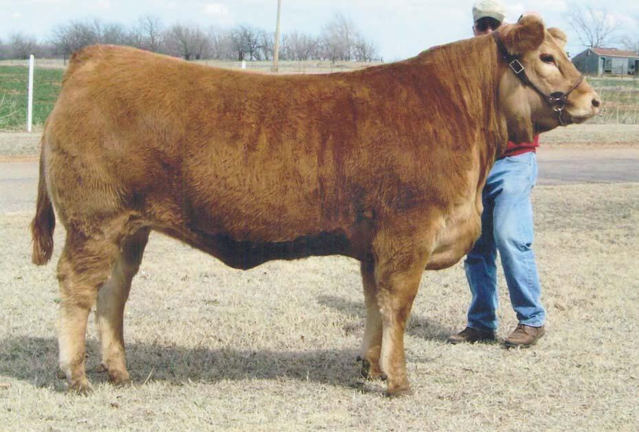 9 Consigned by CARVER FARMS CF Okie Star Delight 184Y Polled / Red 10.15.