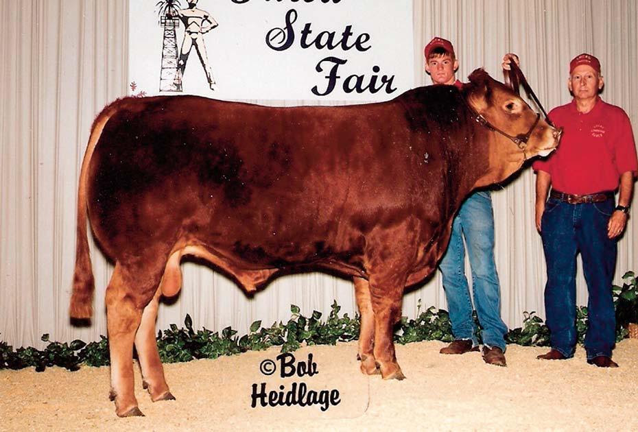 11 Consigned by WEBB FARMS JELU Polled Keke 917W Polled / Red 04.28.