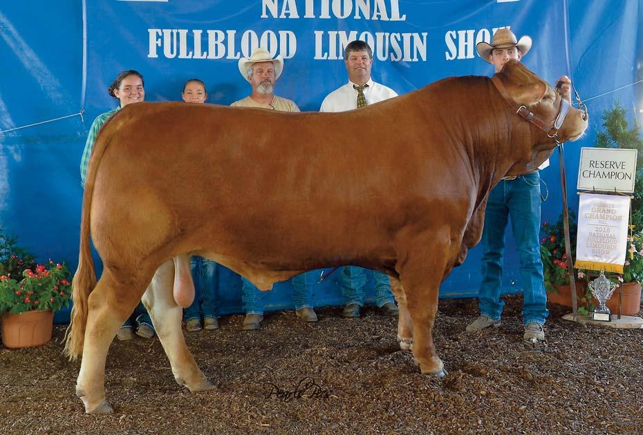 Consigned by CARVER FARMS GHR Polled Afershock Bull Polled / Red 01.10.13 BW: 83 lbs.; Adj. WW: 950 lbs. GHR 5A CFM 213760 4 4.4 71 93 28 3 0.45-13 31 0.54-0.31-0.30 42.