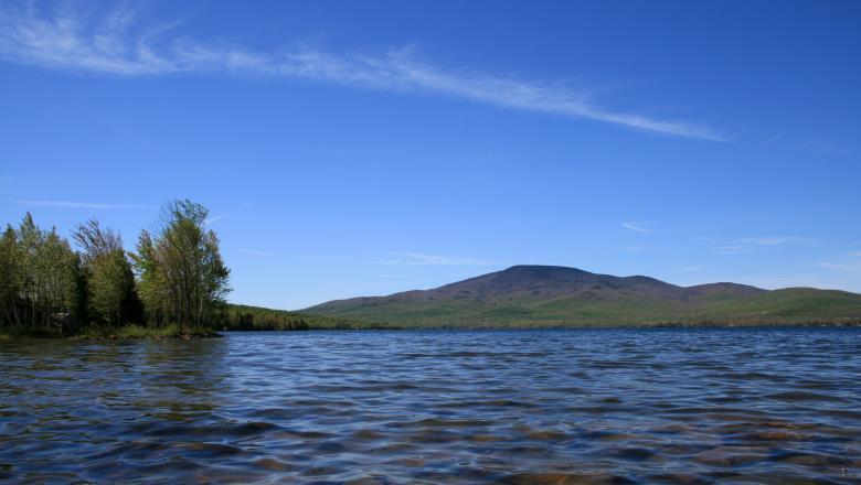 Associated Species: This habitat may support very cold water species such as lake trout (togue), in addition to other characteristic coldwater fish species such as rainbow smelt, brook trout, brown