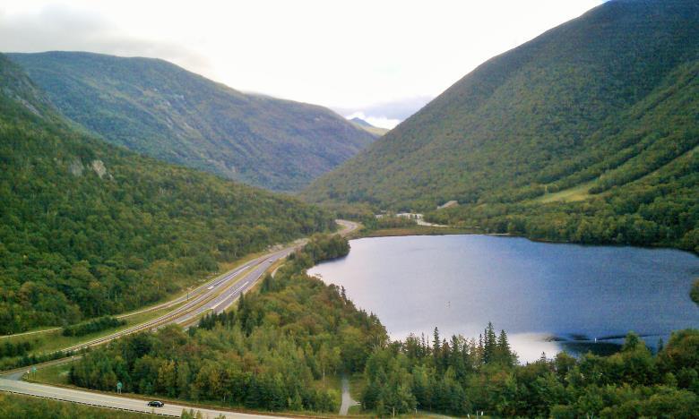 Associated Species: This habitat may support characteristic coldwater fish species (exclusive of lake trout), including rainbow smelt, brook trout, brown trout, landlocked Atlantic salmon, burbot