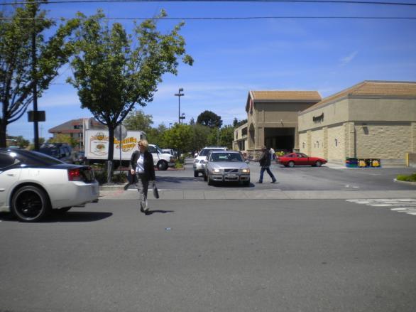Long traffic queues were observed on 17 th Avenue approaching El Camino Real, which spilled back to block the Safeway driveway.