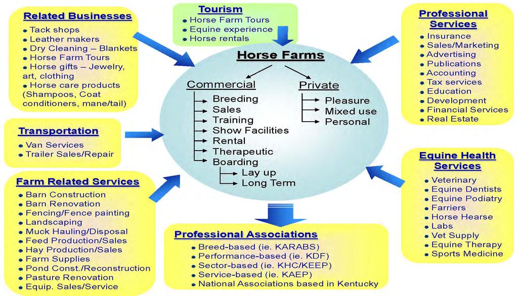Kentucky s Equine Economic Cluster