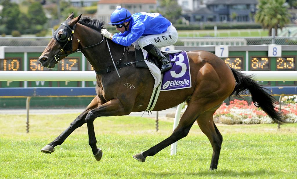By the outstanding Coolmore Stud sire Fastnet Rock, Albany Reunion is owned by Watson Bloodstock and trained at Pukekohe by Nigel Tiley.