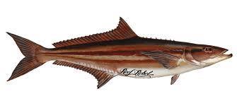 South Carolina Fisheries Management Implementation Plan for Cobia Prepared under the Guidelines for the current Atlantic States Marine Fisheries Commission Interstate Fisheries