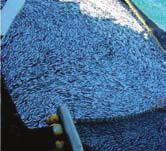 Pelagic Catch Unloading Anchovies Fishmeal If however we use the same data as presented by Tacon & Metian but use the alternative method of calculating the FIFO ratio, as outlined earlier, we obtain
