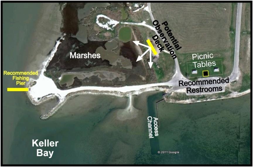 One option is to launch from Olivia and at the end of CR 317 or vice versa. The marsh areas on the shorelines are known for being the habitats for waterfowl and sand hill cranes.