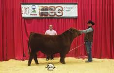 by LeDoux Ranch Agenda, KS Sold to