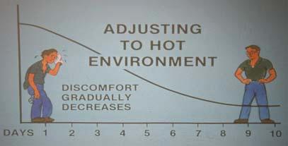 Heat acclimatization The process of adjusting to a hot environment takes about 10 days.