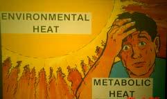 Heat stress The net heat load to which a worker may be exposed from the combined contributions of: -- environmental factors, -- metabolic cost of
