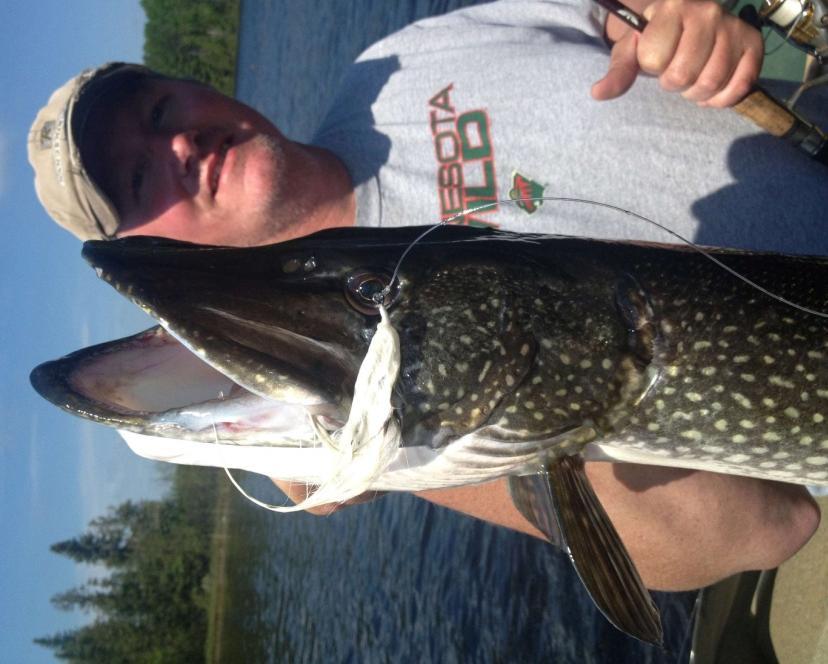 Jimmy D., I caught these Kings on your Black Marabou Jigs. Great time!