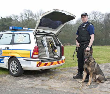 Dog Handlers The entire range of personal safety skills is generally available to an officer deployed with a dog.
