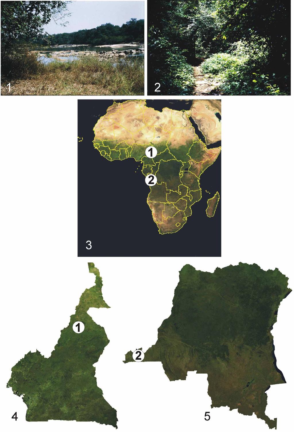 FIGURES 1 5. Collecting localities of the Afrotropical Elachistinae species.