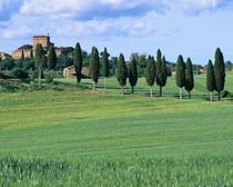 Self-Guided Bicycle Tours in Italy: Bicycling Cortona, Montalcino and Siena Tour Facts Sheet This self-guided tour of Tuscany covers a small but stunning part of Tuscany near the border with Umbria.