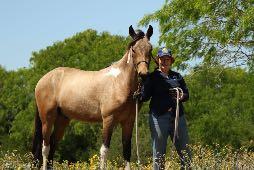 years of my college education, and had one horse from the time that I was 16, and my mare was 2, until she died at age 32. I progressed to half Arabians, and then full Arabians, and an Appaloosa.