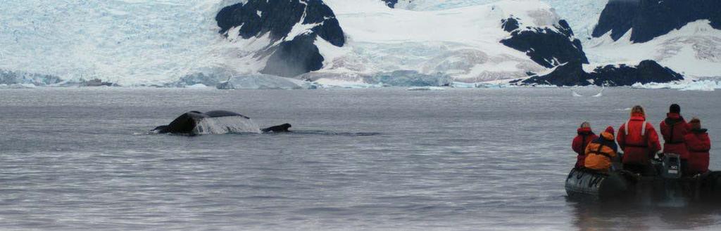These guidelines minimize potential environmental impacts to wildlife and suggest ways to comply with Annex II (Conservation of Antarctic Fauna and Flora) of the Protocol on Environmental Protection