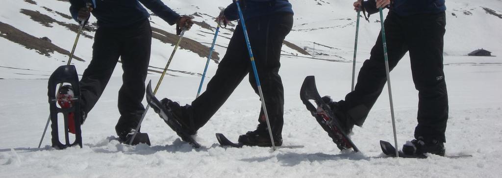 Our Winter activities are: Snowshoeing, Ski Guiding (also known as Ski Piste Familiarization), Cross-Country Skiing, Snow BBQ, Snow Olympics, igloo Building, Sledging on Our Chalet Grounds and Winter