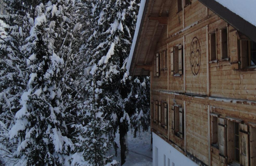 Snowshoe Hiking Ski Guiding (Ski Piste Familiarisation) Cost: 5 CHF per person For more advanced skiers and snowboarders Our Chalet offers a Ski Guiding / Ski Piste Familiarisation mornings.