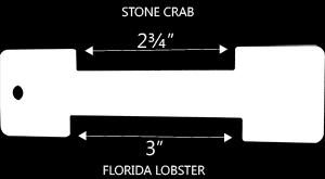 Florida spiny lobster TT-GAUGE/COMBO 16 Lee Fisher