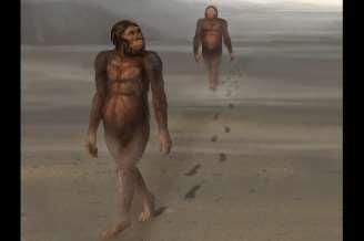 2. Australopithecus afarensis 3.6-3.