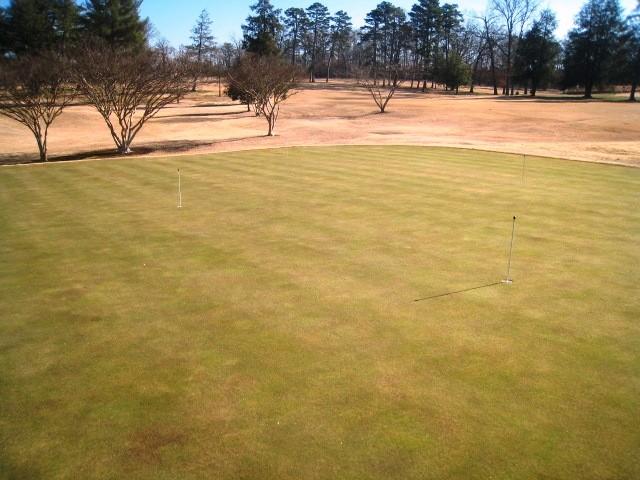 Mimosa Hills Country Clubm 1. Greens Cultural Program for Organic Matter Control The current program and plan for three aerifications in March, May and September is very sound.