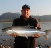 This will be another banner year due to the great return numbers of spawning Sockeye reaching the spawning grounds in 2005 and also the good ocean survival rate.