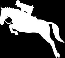 BUNDABERG SHOW SOCIETY HOSTING QUEENSLAND COUNTRY STATE SHOWJUMPING CHAMPIONSHIPS 25 th, 26 th & 27 th MAY 2016 SHOWJUMPING EVENTS Our 2016 Bundaberg show will be held at the Bundaberg Recreational