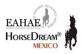 You are not allowed to use the HorseDream brand and you are not allowed to educate other trainers with the HorseDream concept.