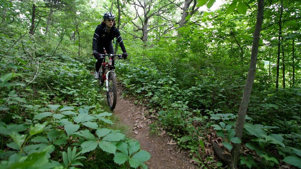 SIngletrack trail in CamRock Park, built by