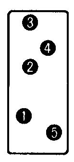 P2R P2R-05P (One pole) 14.5 Terminal arrangement/ (bottom view) Mounting (bottom view) Five, 1.6-dia. 35.5 P2R-08P (Two poles) 14.5 36.5 Eight, 1.3-dia. 35.5 36.5 P2R-057P (One pole) 14 Five, 1.