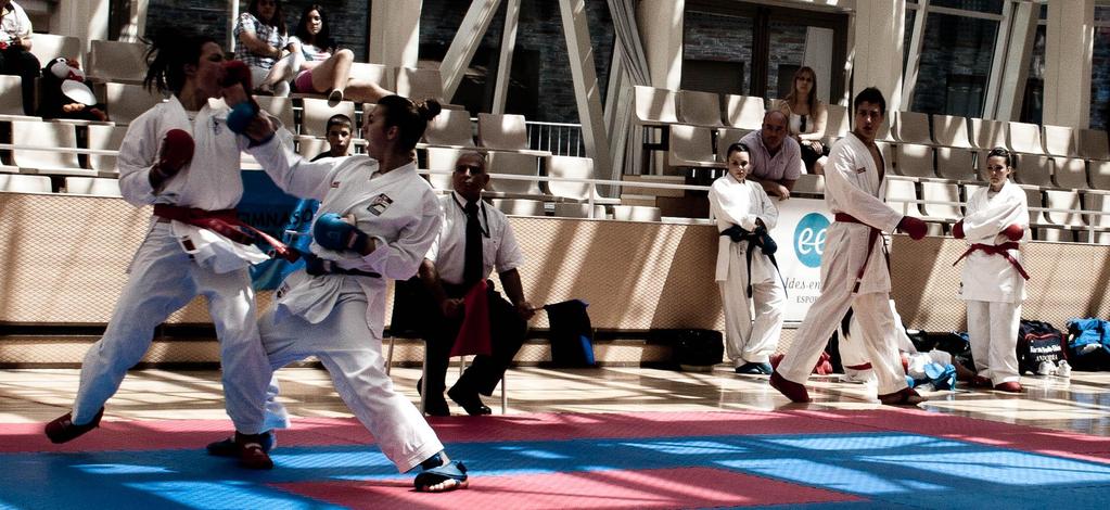 12 + 1 Escaldes Karate Open (Andorra) 21-22-23 June 2013 Saturday: Senior Sunday: Children PRAT GRAN Pavillion Prat