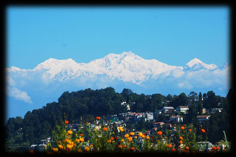HOME E-mail: shahtours2001@yahoo.com I Website: www.shahtour.com [Call: 0353 2568080, +91 9800060007] Dear Travel colleagues Greetings from SHAH TOUR, Darjeeling!