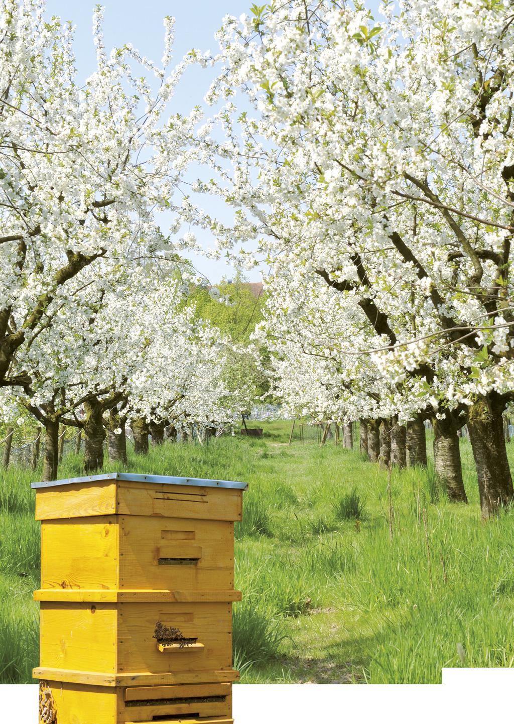 1 EUROPEAN ST BEEKEEPING CONGRESS Beekeepers & farmers,