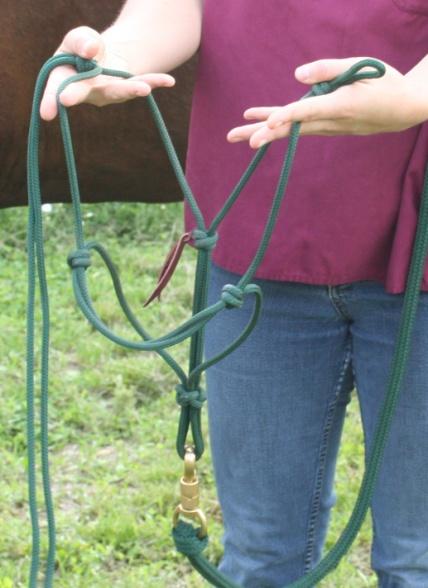 SOP: EQUINE RESTRAINT TECHNIQUES II. Personal Protective Equipment (PPE) and Hygiene A.