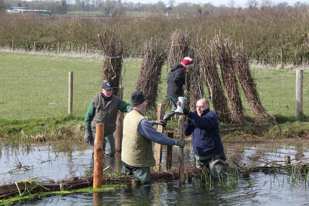 (see below) Partners: EA, fishing syndicates (various) R&WCD Volunteers upgrading the hazel faggoting on the Sherborne Brook. Key Issues (what problems are/were you seeking to tackle?