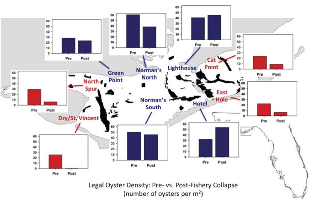 (a) (b) Legal oyster density dropped conspicuously and dramatically during and immediately after the collapse (October 2012 through August 2014) at all of the major fished oyster bars.