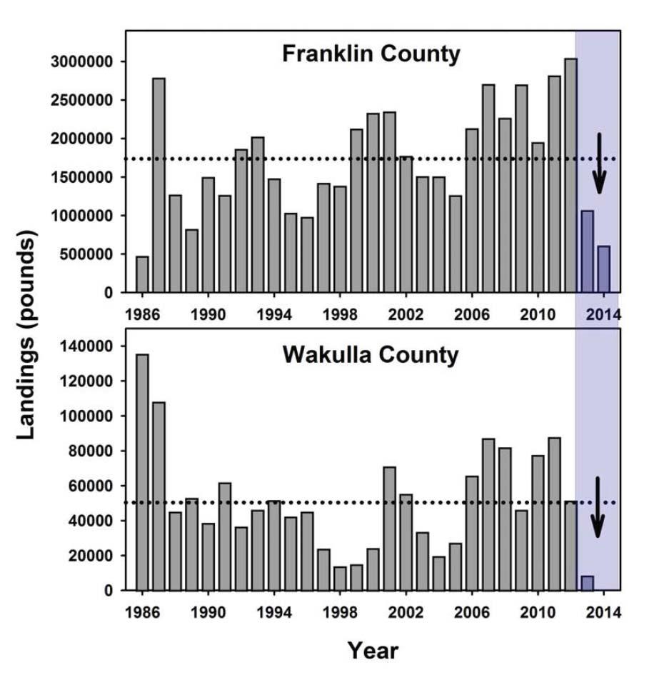 Lipcius, Demo. 9: Fishery landings of the eastern oyster in Florida panhandle counties Franklin County and Wakulla County. 103.