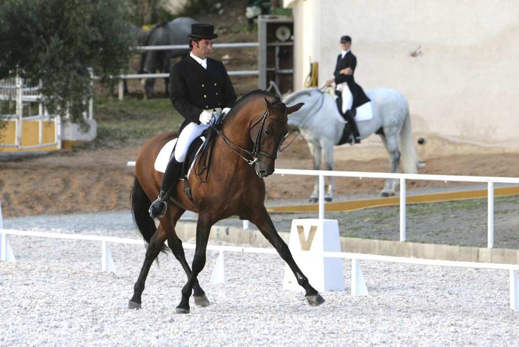 In the half pass, the horse moves sideways and forwards, while flexing in the direction of travel. Photo courtesy Ignacio Bravo. Online Course!