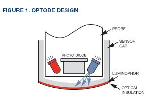 LDO meter = optode Blue excitation light used to excite the luminophor (fluorescent compound). Measure the red fluorescent light.