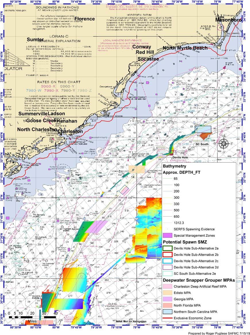 Figure 2a. Chart showing location, associated bathymetry and size of Spawning SMZ Alternatives for the area known as Devils Hole off South Carolina.